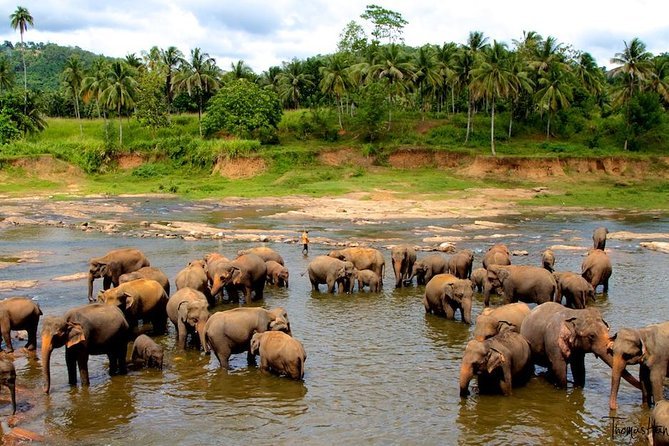 Explore Sri Lanka with Breeze Vacation | Trusted Travel Partner